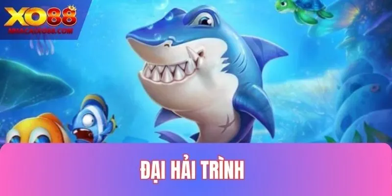 Đại Hải Trình