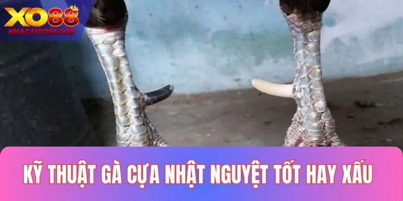 Các kỹ thuật của gà cựa nhật nguyệt bất bại