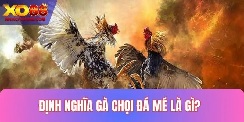 Đôi điều sơ lược về gà đá mé